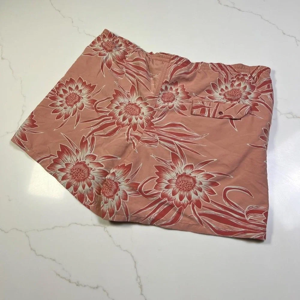 Patagonia baggies shorts
